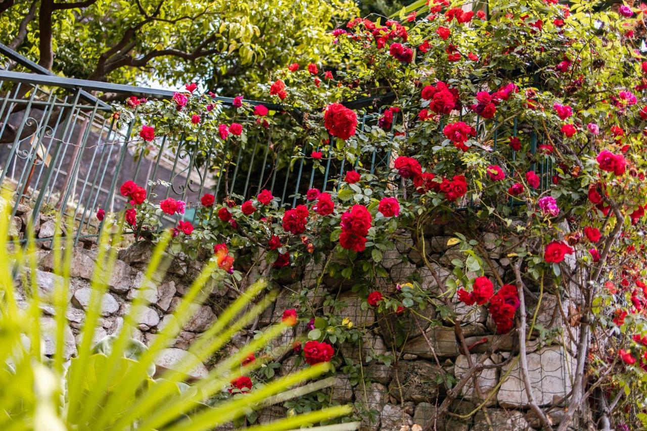 Ascheri Country House - Grimaldi, Ventimiglia Kültér fotó
